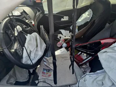2016 Hyundai Santa FE KMHSU81UBGU603928 VIN:KMHSU81UBGU603928