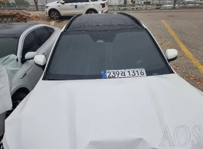 2023 Kia Sorento KNARJ81GBPA204006 VIN:KNARJ81GBPA204006