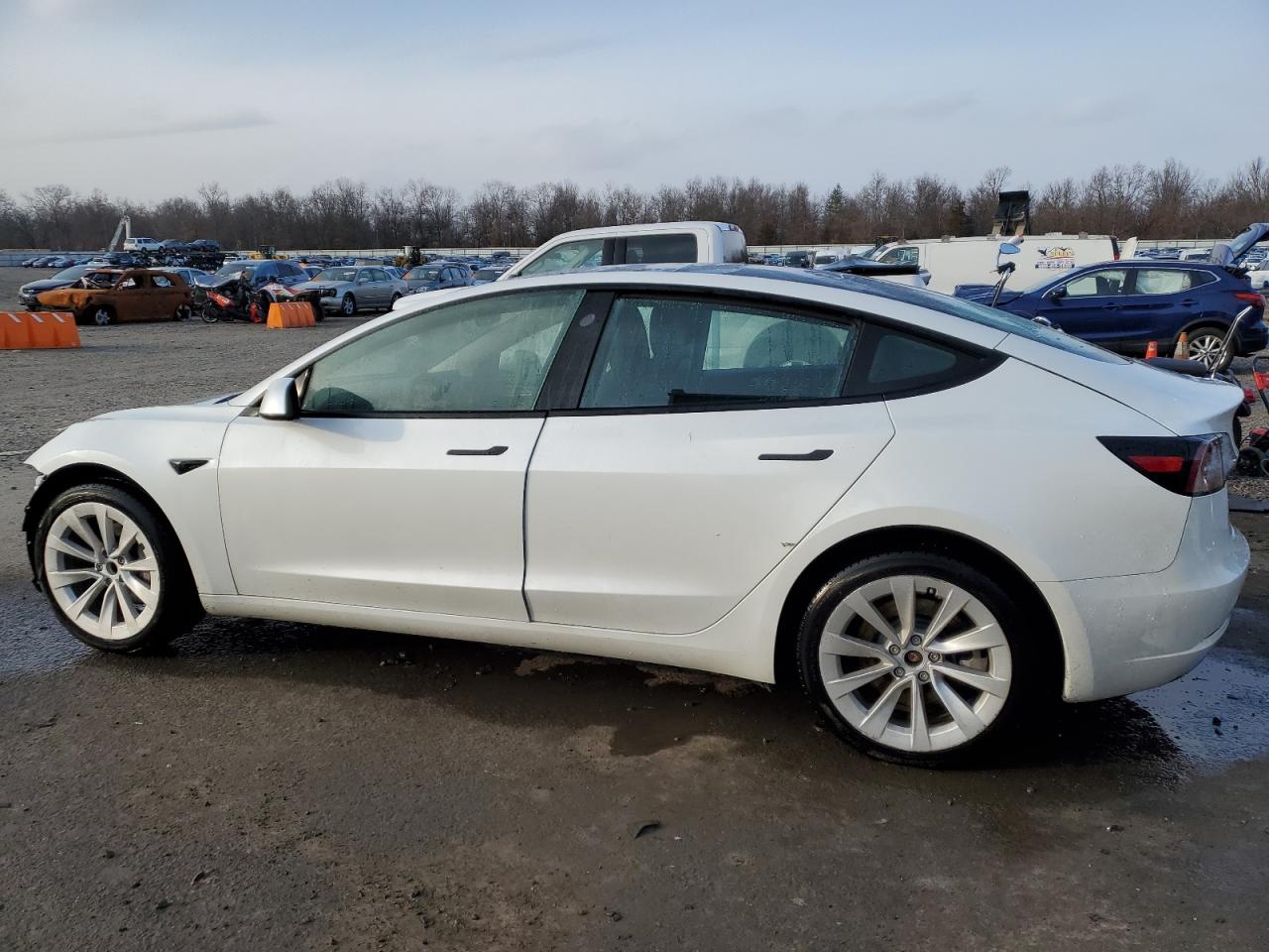 2023 TESLA MODEL 3  VIN:5YJ3E1EA0PF542653