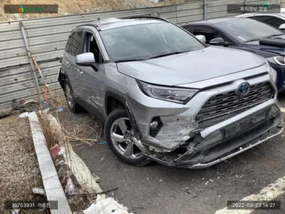 2019 Toyota RAV4 JTMDWRFV9LD044986 VIN:JTMDWRFV9LD044986