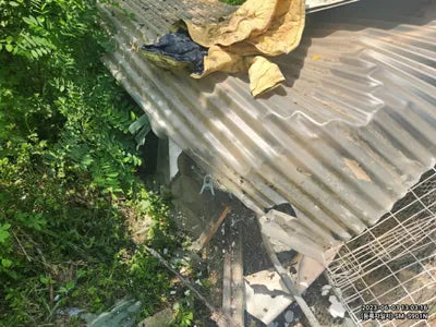 2023 Genesis G90 VIN: