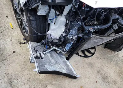 2019 Hyundai Santa FE KMHS381ADKU169994 VIN:KMHS381ADKU169994