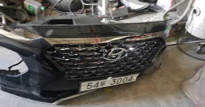 2019 Hyundai Santa FE KMHS581ADKU164894 VIN:KMHS581ADKU164894