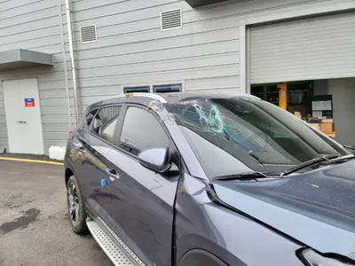 2020 Hyundai Tucson KMHJ3812GLU342256 VIN:KMHJ3812GLU342256