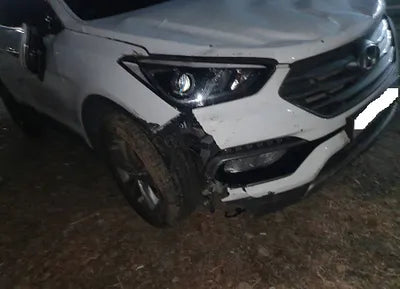 2017 Hyundai Santa FE KMHSW81UBHU753115 VIN:KMHSW81UBHU753115