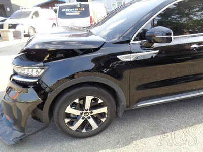 2021 Kia Sorento KNARJ81BGMA075401 VIN:KNARJ81BGMA075401