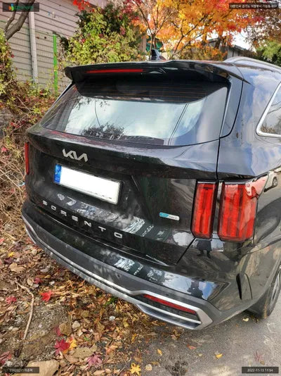 2021 Kia Sorento KNARH81GBNA074947 VIN:KNARH81GBNA074947