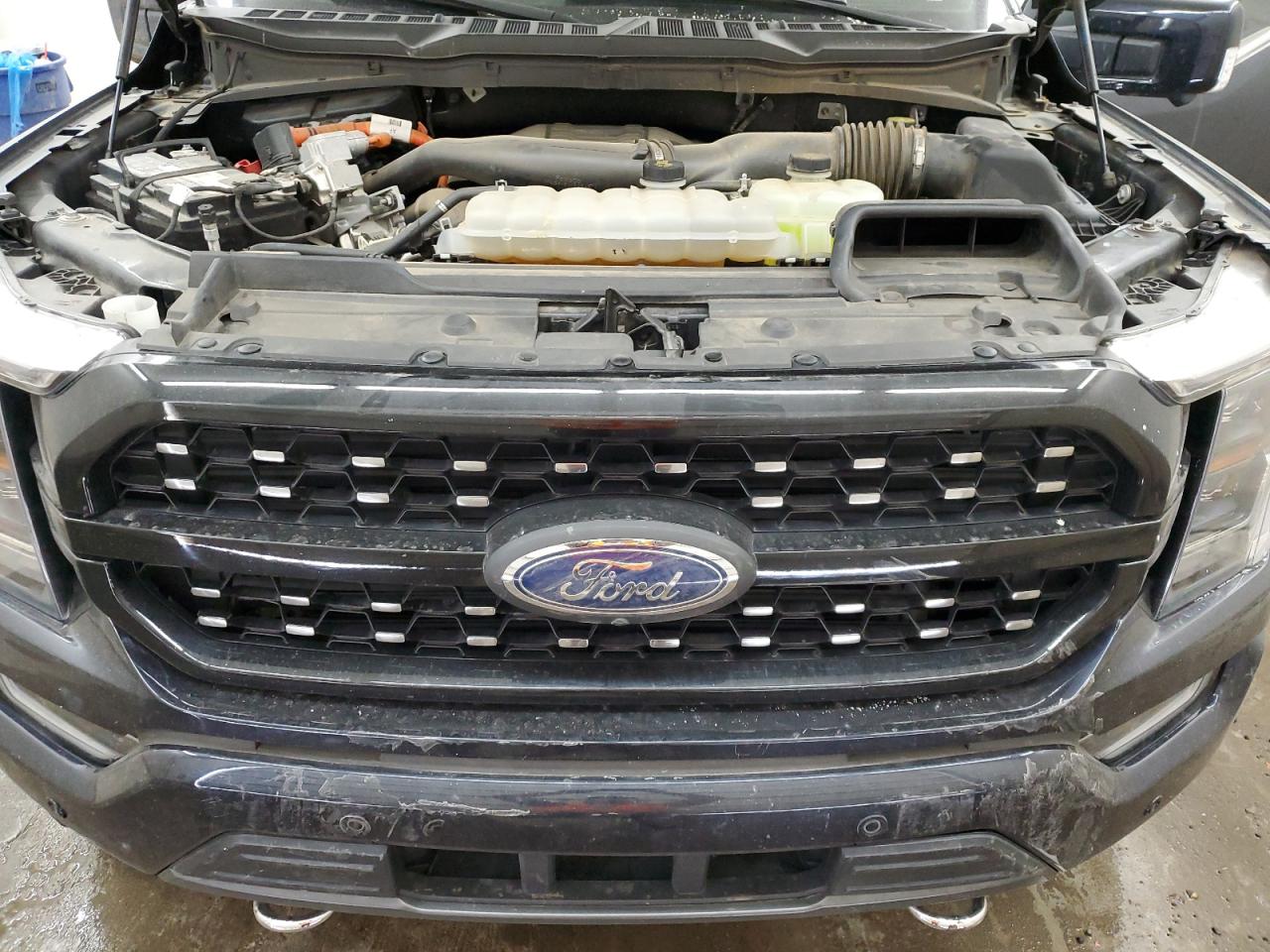 2023 FORD F150 SUPERCREW VIN:1FTFW1ED9PFB12149