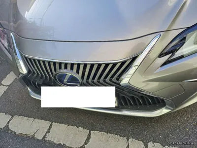 2021 Lexus ES 300 JTHBA1C11M2000470 VIN:JTHBA1C11M2000470