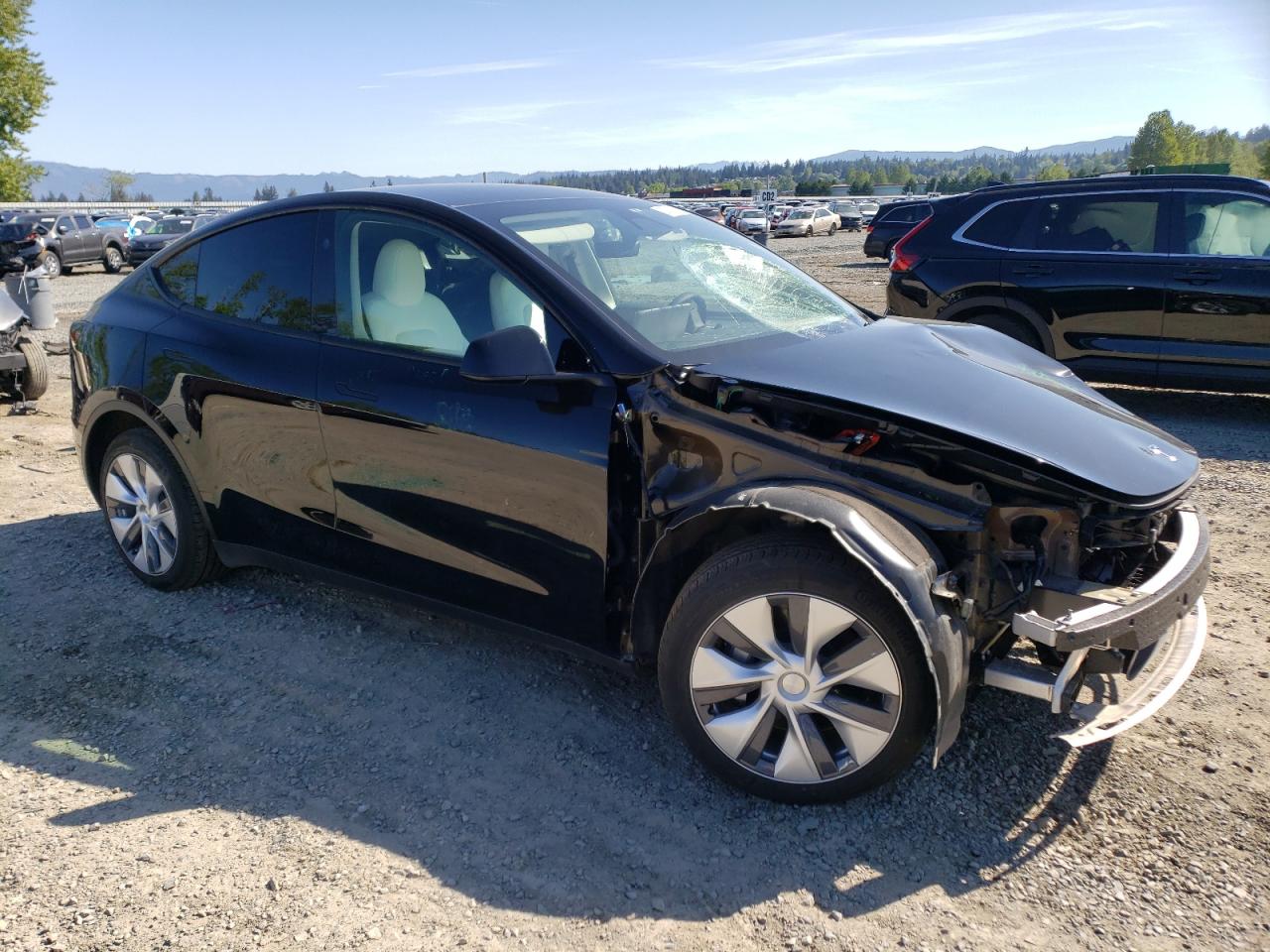 2023 TESLA MODEL Y  VIN:7SAYGDEE6PF936665