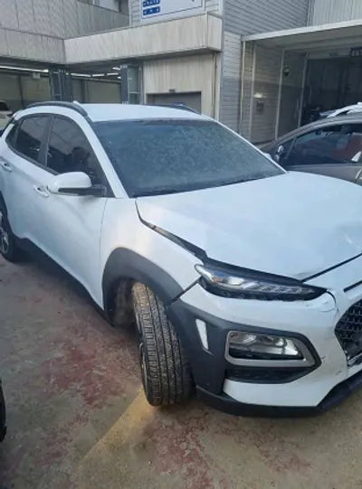 2019 Hyundai Kona KMHK4815GKU412636 VIN:KMHK4815GKU412636