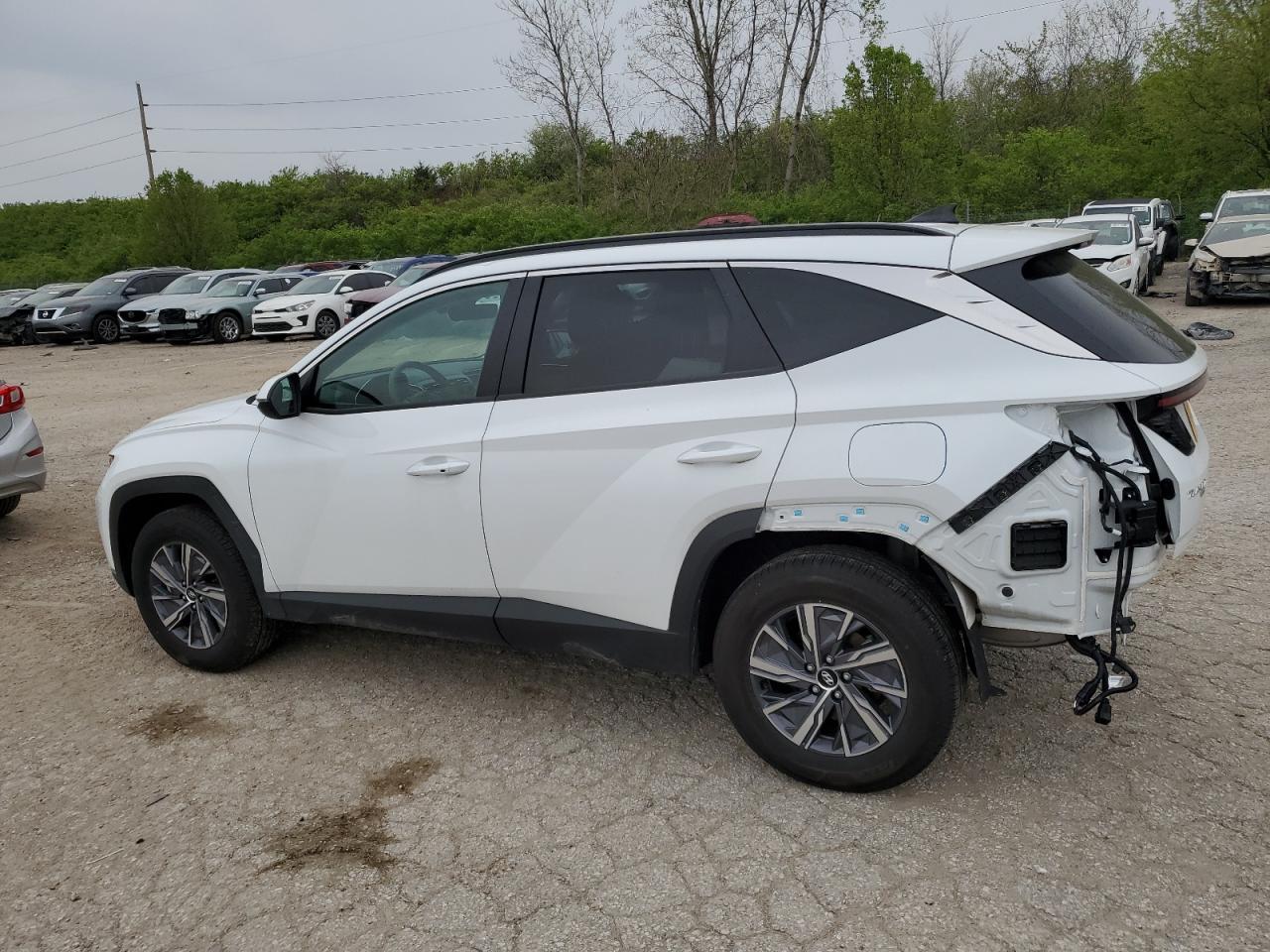 2022 HYUNDAI TUCSON BLUE VIN:KM8JBCA14NU042948