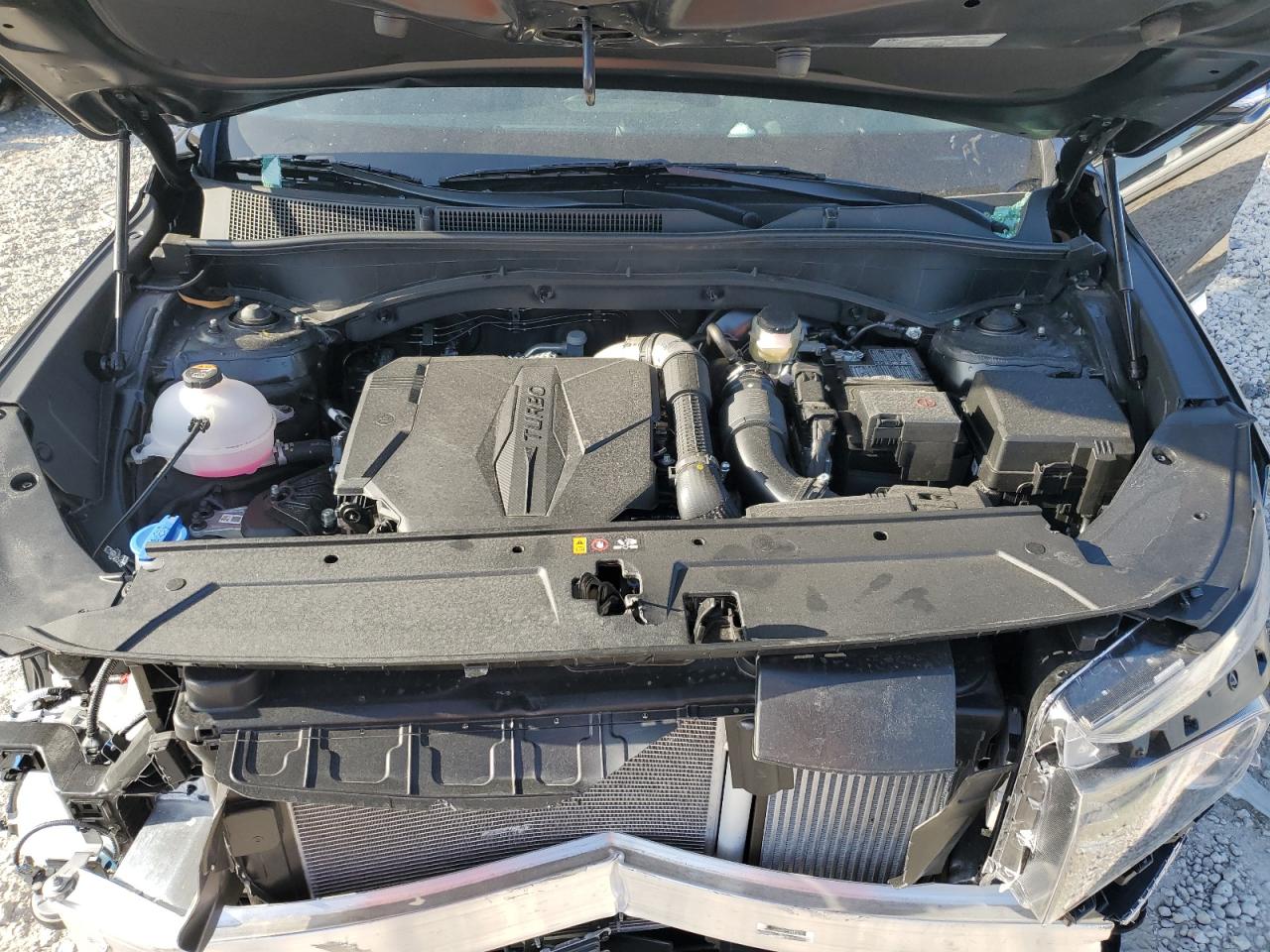 2023 HYUNDAI SANTA FE LIMITED VIN:5NMS44AL7PH646448