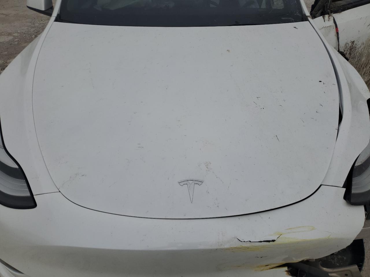 2023 TESLA MODEL Y  VIN:7SAYGDEE2PA145160