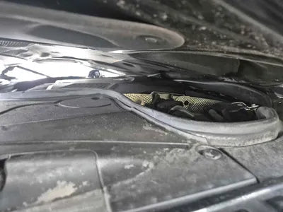 2019 Mercedes-Benz S 350 WDDUF2BB6KA492918 VIN:WDDUF2BB6KA492918