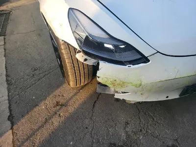 2021 Tesla Model 3 5YJ3E1EB5MF946651 VIN:5YJ3E1EB5MF946651