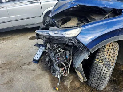 2019 Hyundai Santa FE KMHS381CDKU076065 VIN:KMHS381CDKU076065