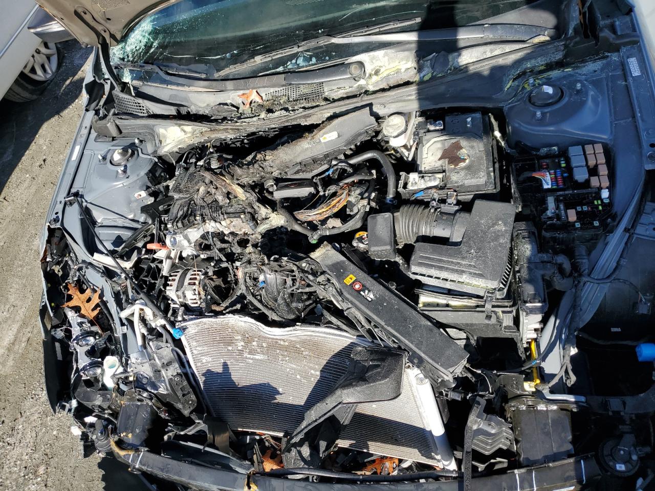 2023 HYUNDAI ELANTRA LIMITED VIN:KMHLP4AG9PU384483