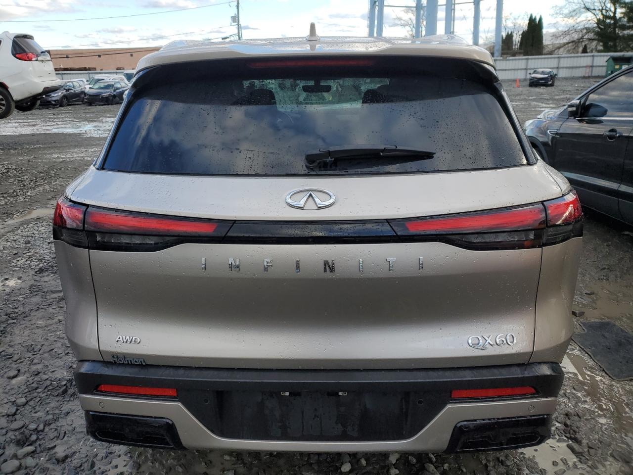 2024 INFINITI QX60 LUXE VIN:5N1DL1FS3RC338779