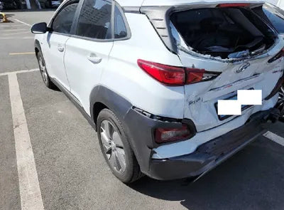 2020 Hyundai Kona KMHK281GFLU113448 VIN:KMHK281GFLU113448
