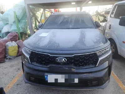 2021 Kia Sorento KNARH81GBMA057653 VIN:KNARH81GBMA057653
