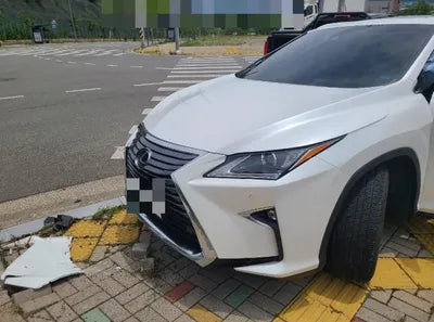 2019 Lexus RX 450 VIN: