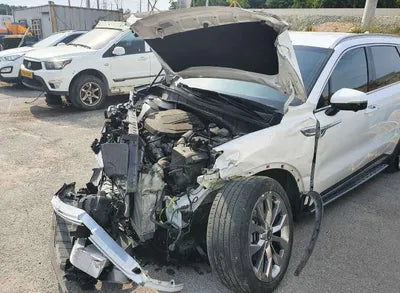 2020 Kia Sorento KNARK81BGMA038540 VIN:KNARK81BGMA038540