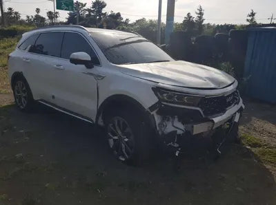 2021 Kia Sorento KNARK81BHNA133310 VIN:KNARK81BHNA133310