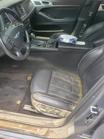 2015 acupuncture nessis 3.3 NONE VIN: