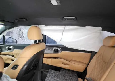 2021 Kia Sorento KNARK81BGMA022168 VIN:KNARK81BGMA022168