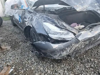2020 Tesla Model 3 5YJ3E1EB0LF750728 VIN:5YJ3E1EB0LF750728