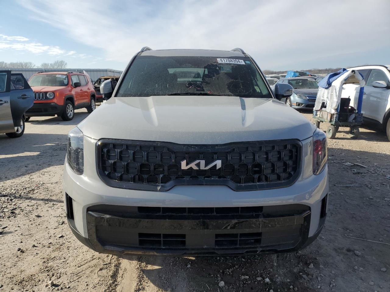 2024 KIA TELLURIDE EX VIN:5XYP3DGC6RG415036