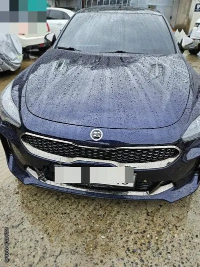 2020 Kia Stinger VIN: