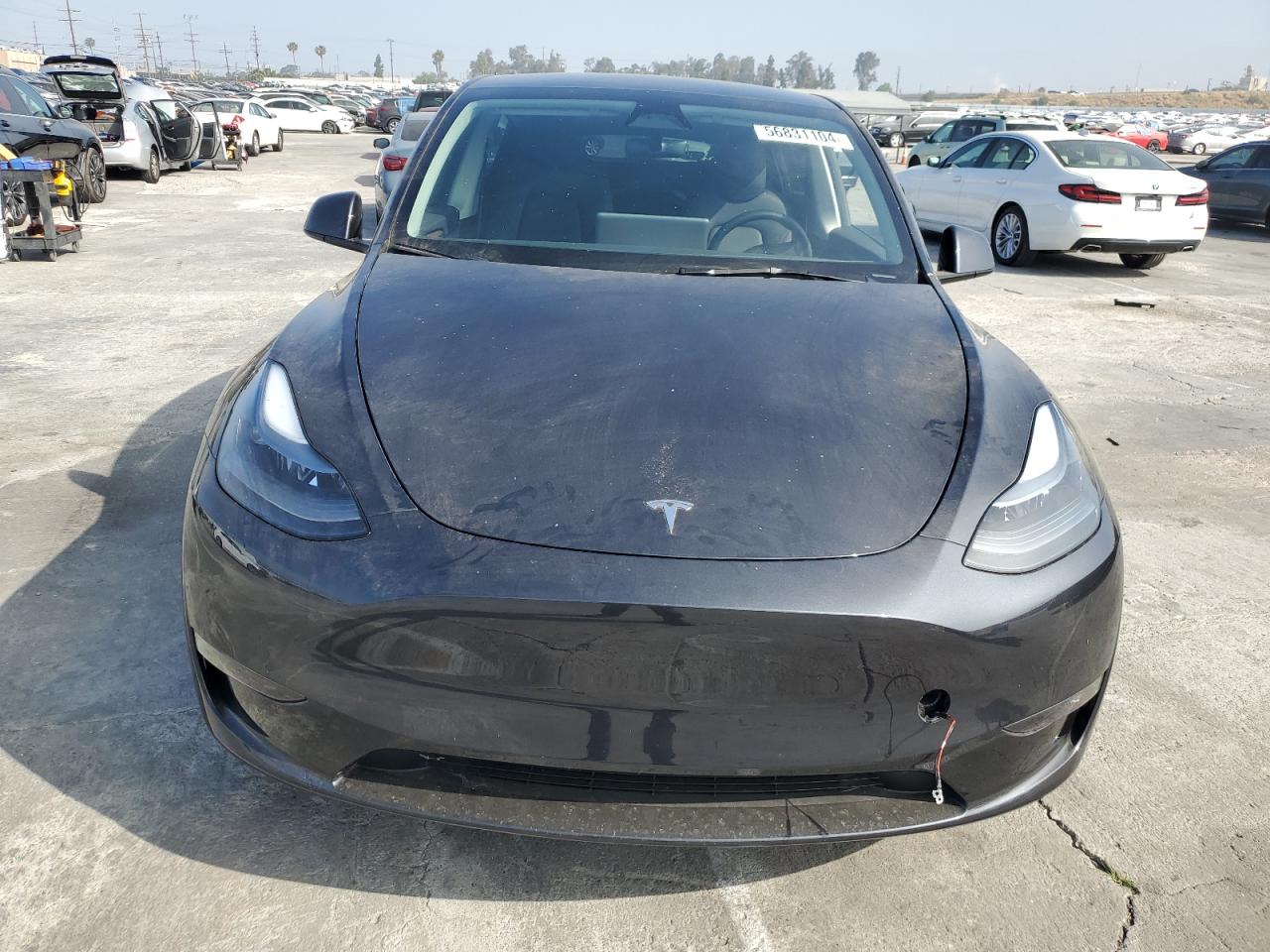 2024 TESLA MODEL Y VIN:7SAYGDEE9RF011056