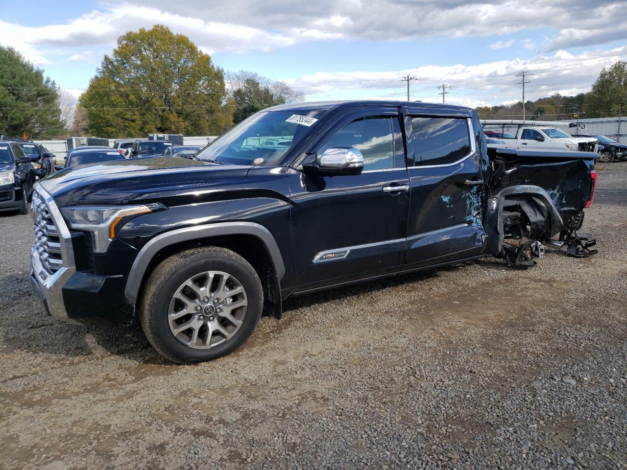 2024 TOYOTA TUNDRA CREWMAX PLATINUM VIN:5TFMA5DB5RX180152