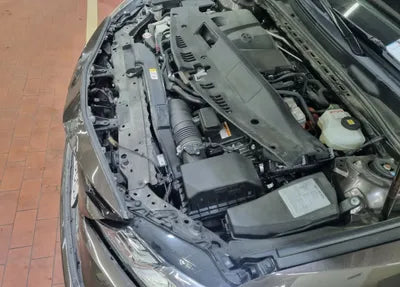 2019 Toyota Camry JTNB21HKXK3019523 VIN:JTNB21HKXK3019523