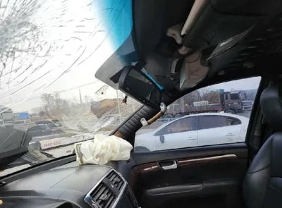 2017 Kia Mohave KNAKM814DHA155938 VIN:KNAKM814DHA155938