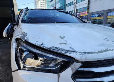 2018 Hyundai Santa FE KMHSW81UBJU833042 VIN:KMHSW81UBJU833042