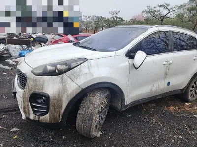 2016 Kia Sportage KNAPN813BGK117019 VIN:KNAPN813BGK117019