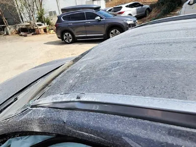 2019 Hyundai Santa FE VIN: