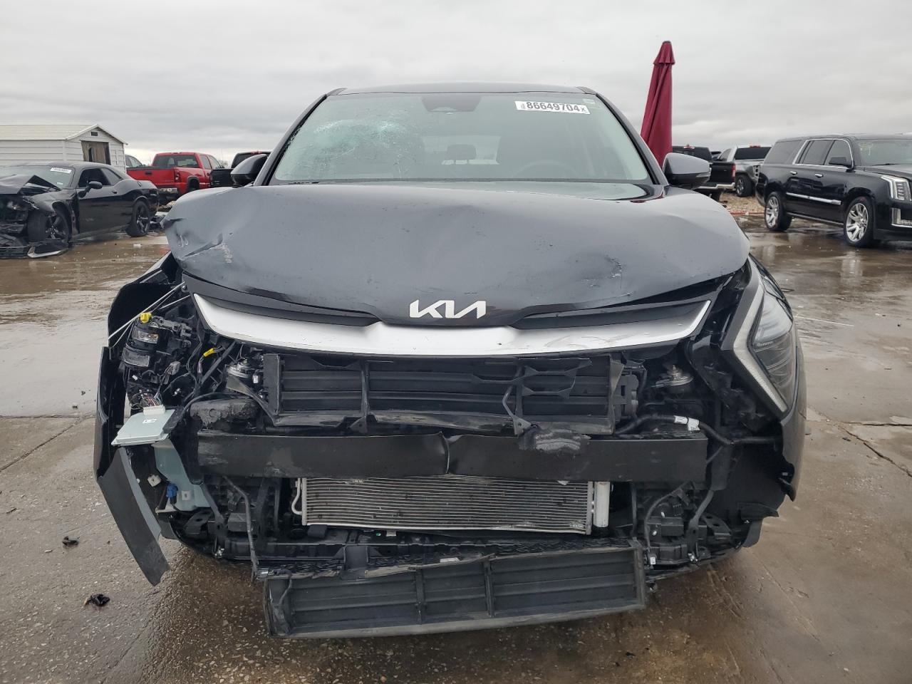 2024 KIA SPORTAGE EX VIN:5XYK33DF5RG159135