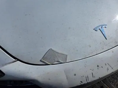 2020 Tesla Model 3 5YJ3E1EA3LF750181 VIN:5YJ3E1EA3LF750181