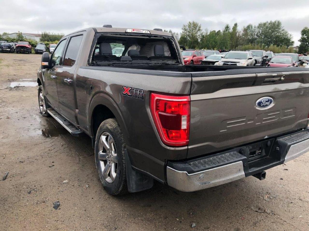 2022 FORD F150 SUPERCREW VIN:1FTFW1E51NFB03483