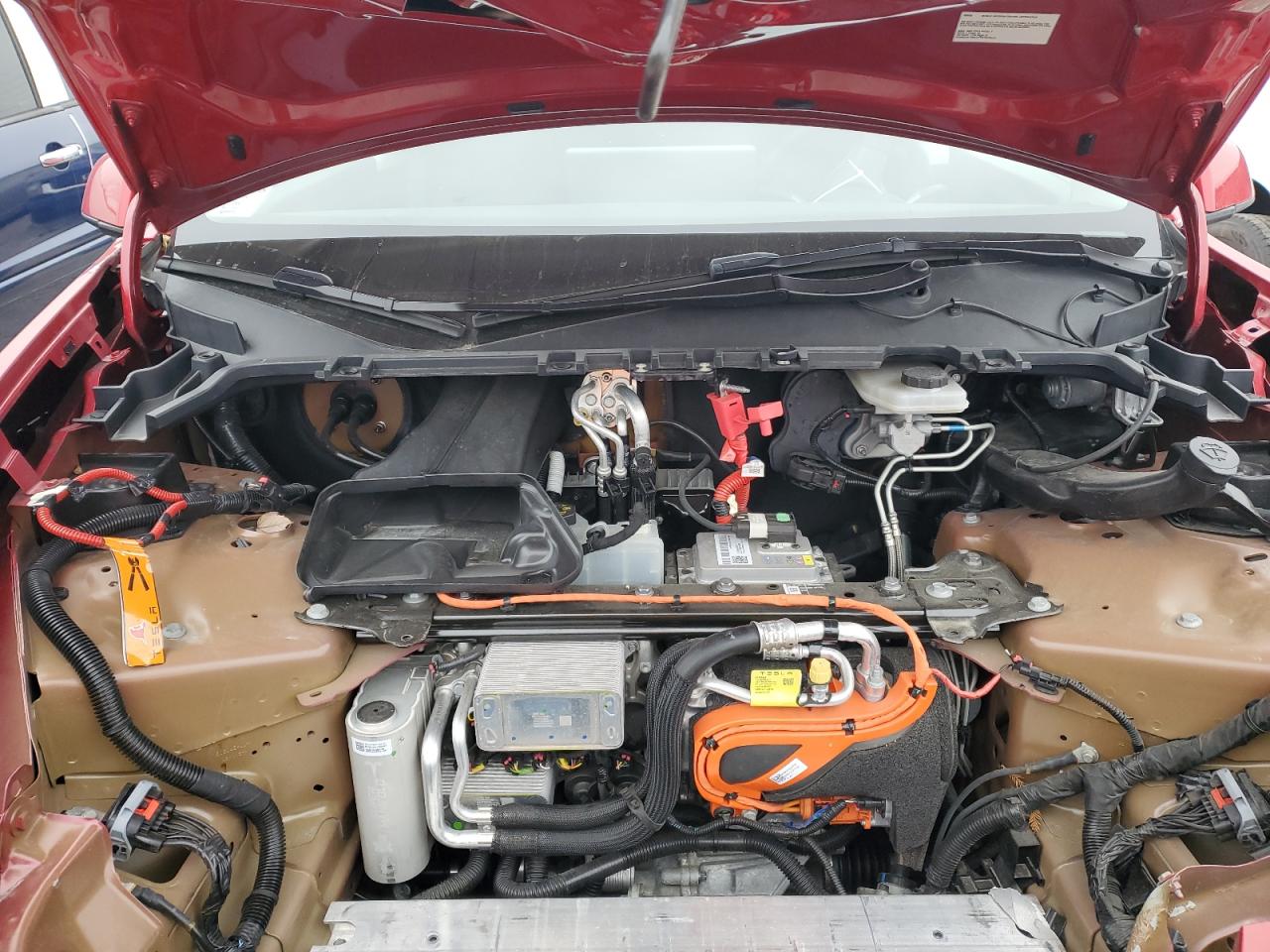 2023 TESLA MODEL Y  VIN:7SAYGDEE6PF669205