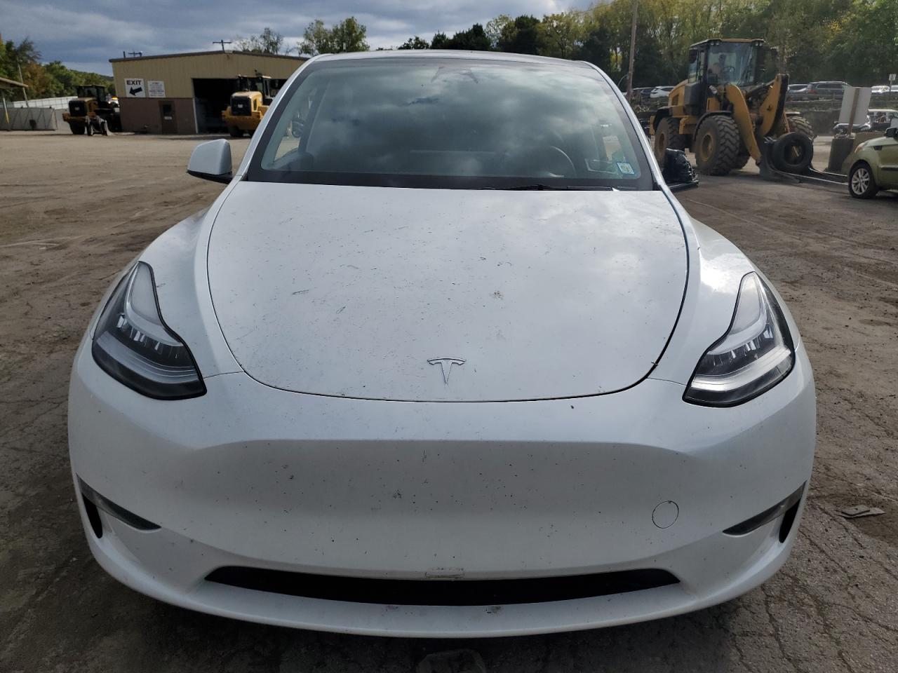 2023 TESLA MODEL Y  VIN:7SAYGDEE8PA057536