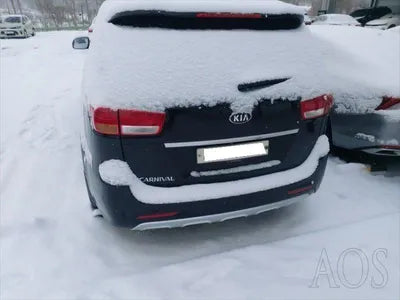 2017 Kia Carnival KNAMC81ABHS318086 VIN:KNAMC81ABHS318086