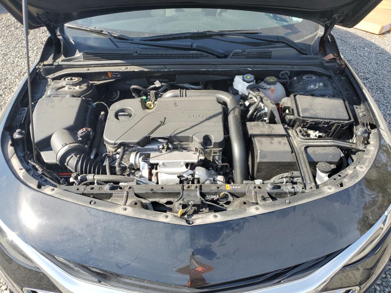 2024 CHEVROLET MALIBU LT VIN:1G1ZD5ST3RF135654