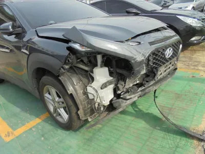 2019 Hyundai Kona KMHK4815GKU305224 VIN:KMHK4815GKU305224
