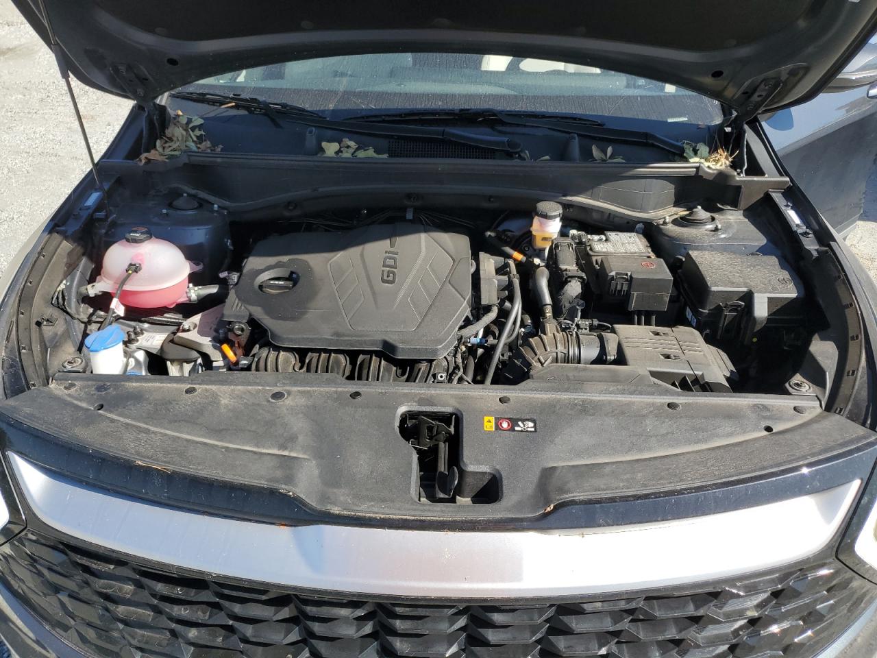 2023 KIA SPORTAGE EX VIN:5XYK3CAF4PG110655