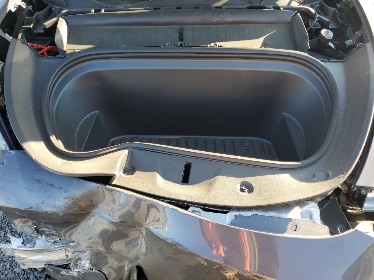 2023 TESLA MODEL Y  VIN:7SAYGDEE3PA194626